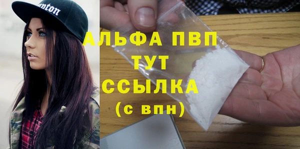 дмт Богданович