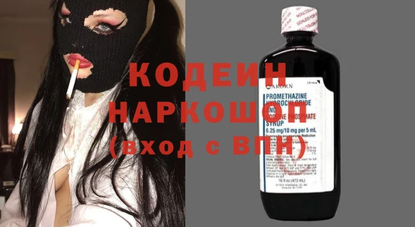 дмт Богданович