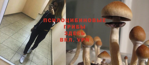 PSILOCYBIN Богородск