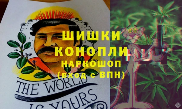 PSILOCYBIN Богородск
