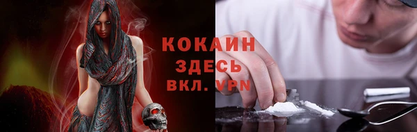 дмт Богданович