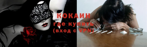 дмт Богданович