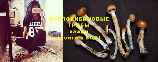 дмт Богданович