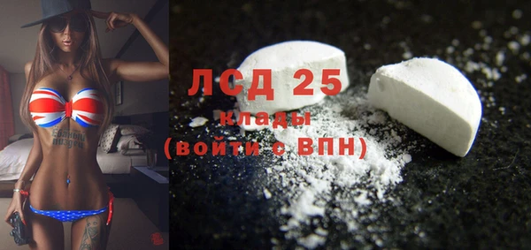 дмт Богданович