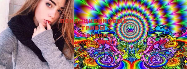 PSILOCYBIN Богородск